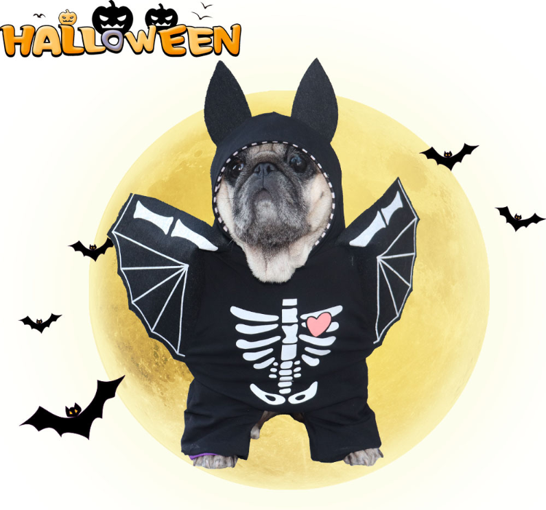Halloween Dog Outfit  Pet Bat Skeleton Costume